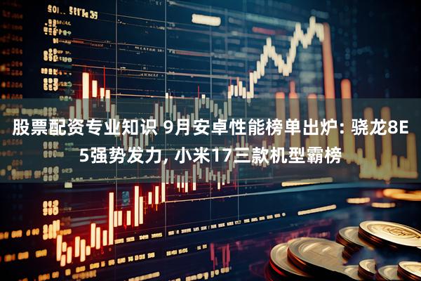 股票配资专业知识 9月安卓性能榜单出炉: 骁龙8E5强势发力, 小米17三款机型霸榜