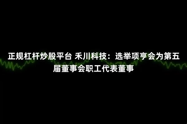 正规杠杆炒股平台 禾川科技：选举项亨会为第五届董事会职工代表董事