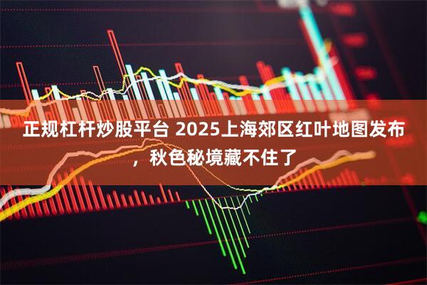 正规杠杆炒股平台 2025上海郊区红叶地图发布，秋色秘境藏不住了